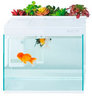 hfjh.fishbowl.v1.png