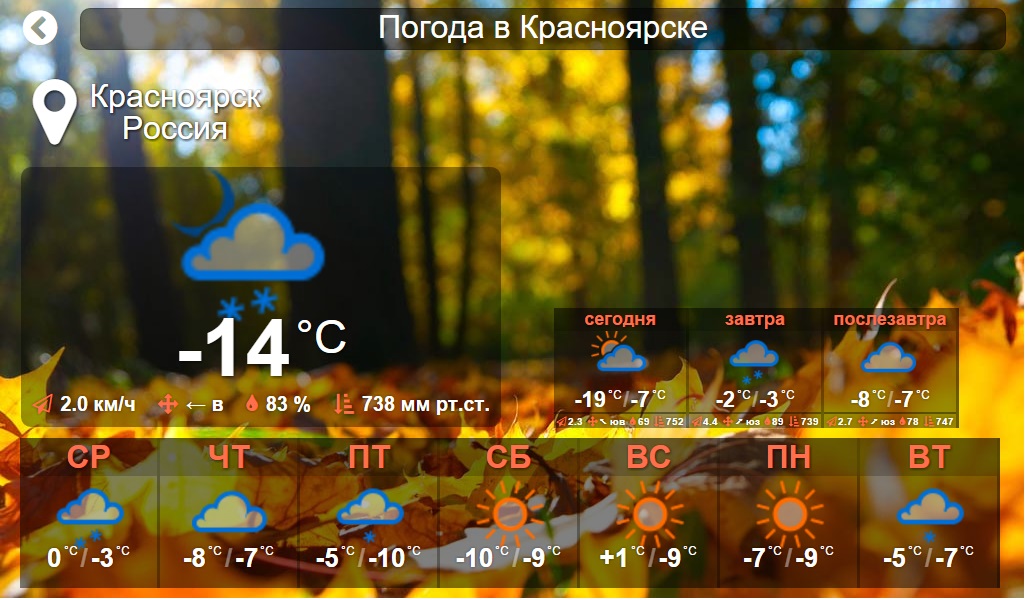 Снимок.jpg