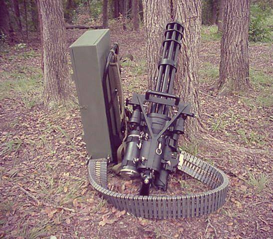 gun555666.jpg